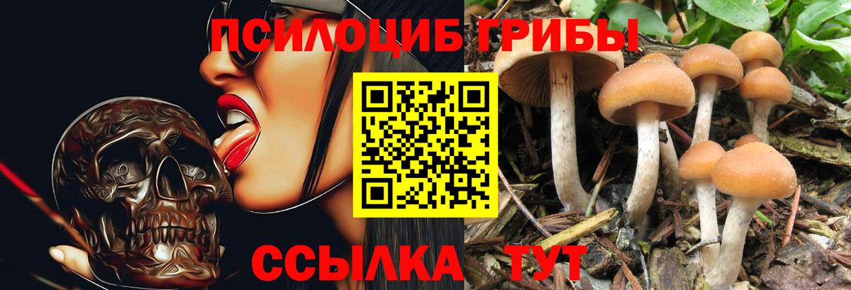 Галлюциногенные грибы мухоморы Казань