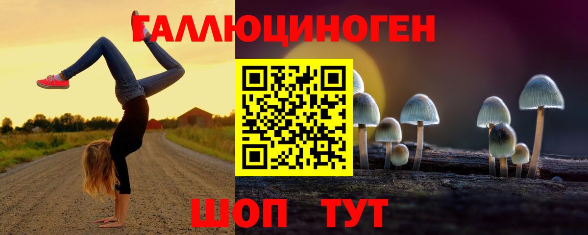 магазин    Вход с VPN  Казань  Псилоцибиновые грибы Psilocybine cubensis 